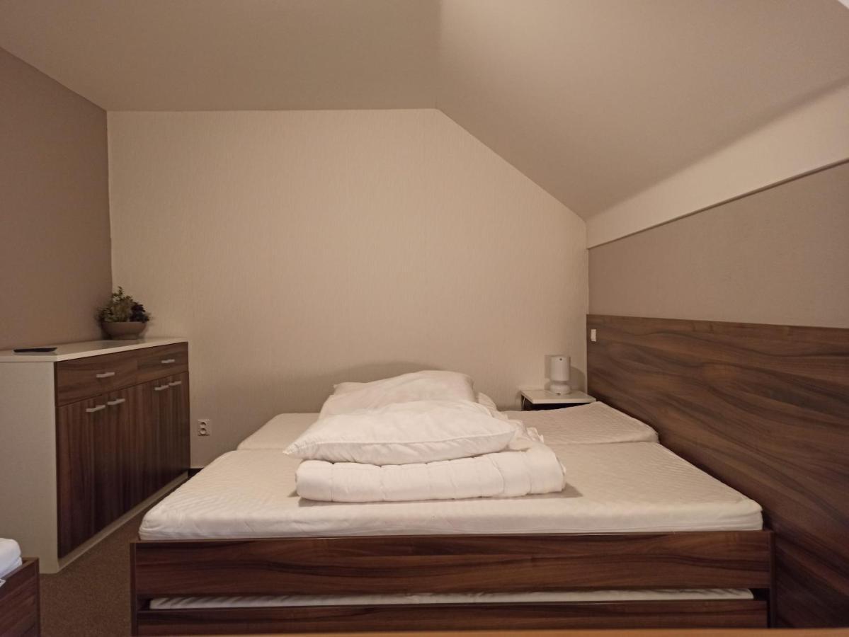 Loučná nad DesnouMezonetovy Apartman Kouty Nad Desnou公寓 外观 照片