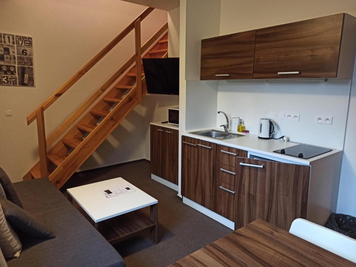 Loučná nad DesnouMezonetovy Apartman Kouty Nad Desnou公寓 外观 照片